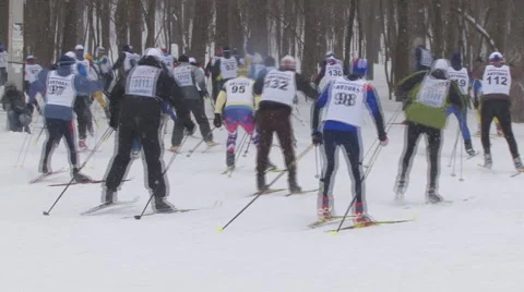 Ski Stock Footage 1214527