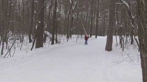 Ski Stock Footage 1214605