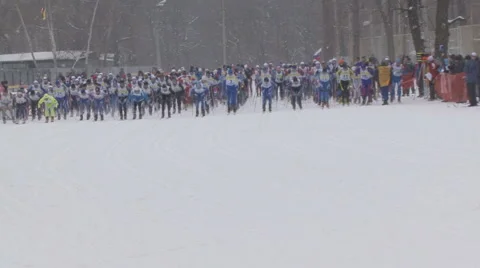 Ski Stock Footage 1214642