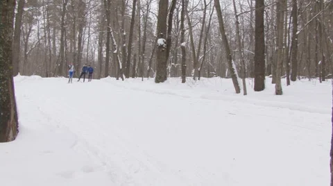 Ski Stock Footage 1214981