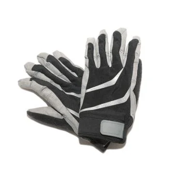 Ski gloves Stock Photos