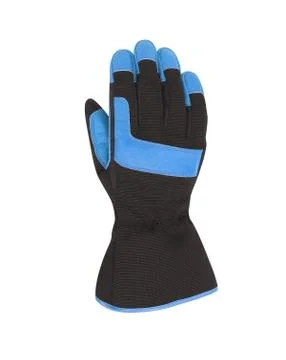 Ski Gloves Stock Photos