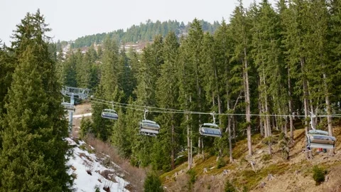 Ski lifts going up and down mountain with between green trees and forest Stock Footage 261763109