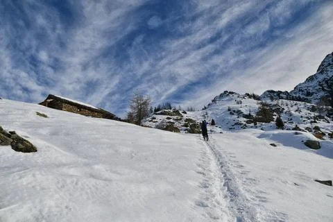 Ski mountaineering. Stock Photos