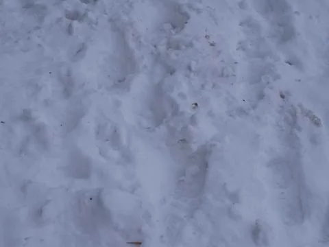 Ski path Pattern textured Stock Photos