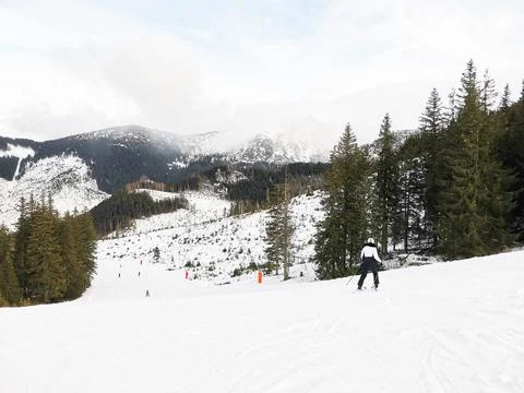 Ski piste surrounded by pine trees Stock Photos