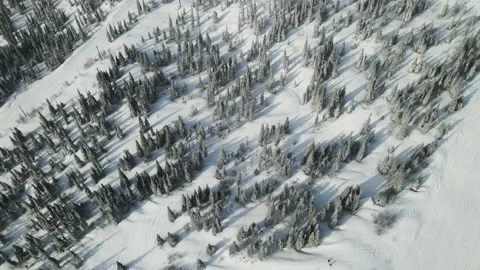 A ski resort from a bird's eye view. Stock Footage 148686271