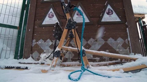 Ski resort entertainments. Side view of sled for husky. Husky team. Husky farm. Vidéo 121362516