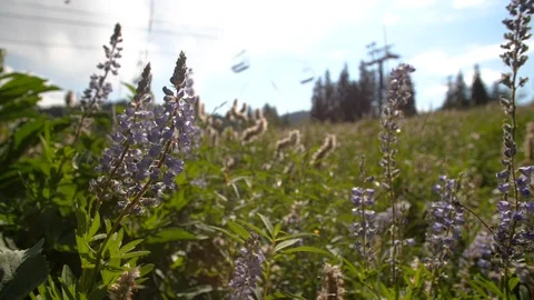 Ski resort summer rack focus Stock Footage 89840551