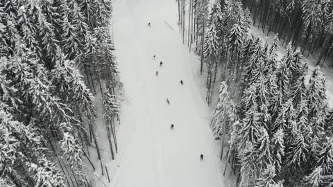Ski run between spruce forest with a steep turn Stock Footage 122822402