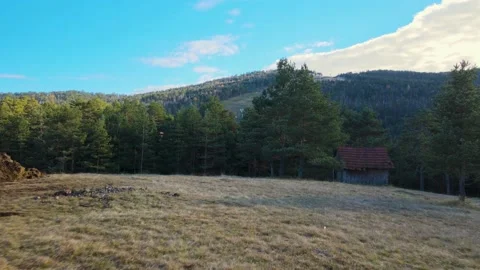 Ski Run Stock Footage 143375661