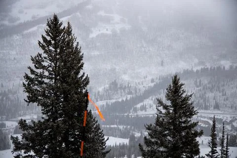 Ski run warning marker with trees and village Foto stock