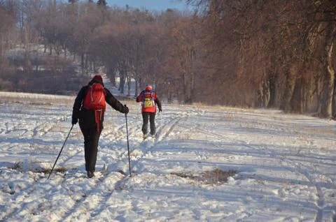 Ski runner in nature in the early morning Stock Photos