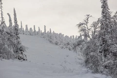 Ski slope in Lapland 스톡 사진