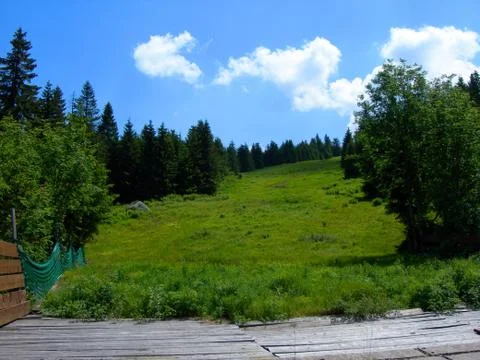 Ski slope in summer Stock Photos