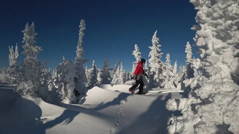 Ski touring and splitboarding concept. Video stock 139955584
