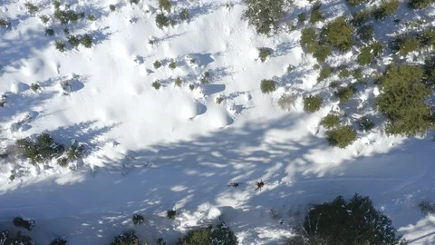 Ski touring group Stock-Footage 129363862