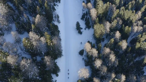 Ski touring group Stock-Footage 129367473