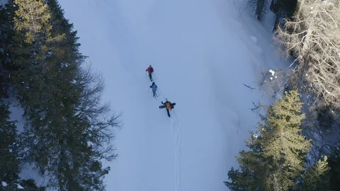 Ski touring group Video stock 129368516
