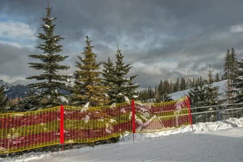 Ski-track in mountain forest Stock Photos