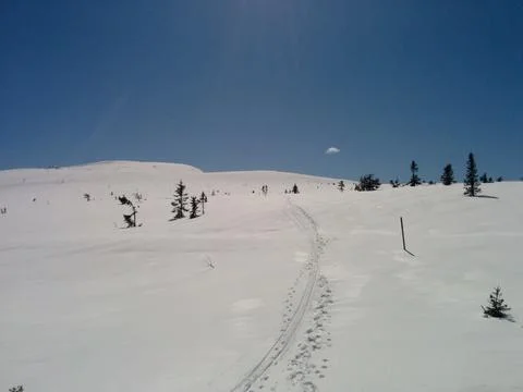 Ski track in the mountains Stock Photos