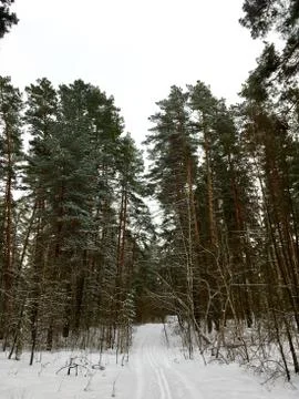 Ski track Stock Photos