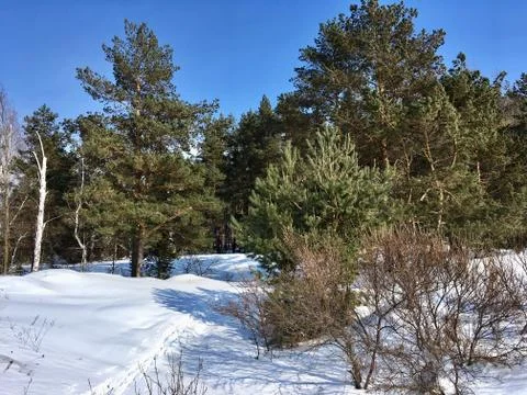 Ski track Stock Photos