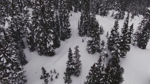 Ski Track -Snow covered Mountain Forest - North Cascades of Washington State Vidéo 102929856