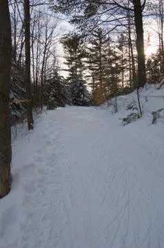 Ski tracks Stock Photos