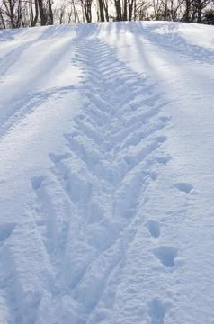 Ski tracks Stock Photos