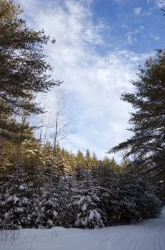 Ski tracks Stock Photos