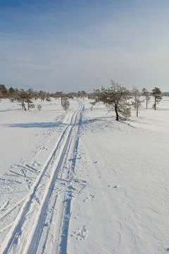 Ski tracks. Stock Photos