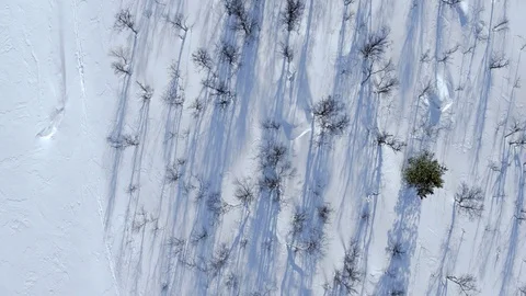 Ski tracks in the snow Stock Footage 73042225