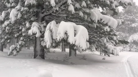 SKi tracks in snowstorm 스톡 동영상 58899039