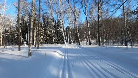 Ski traffic in the forest in winter, Novosibirsk, Russia Stock Footage