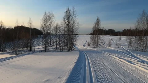 Ski traffic in the forest in winter at sunset, Novosibirsk, Russia Stock Footage 124940596