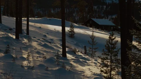 Ski trail in the forest Stock Footage 301819043