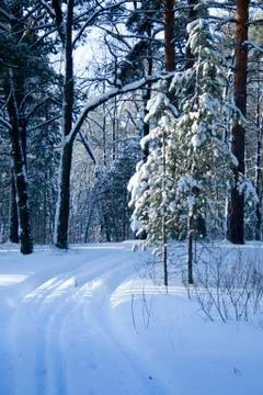Ski trail in the middle Stock Photos