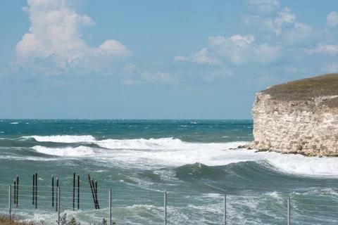 Ski trail in a pine forest Stock Photos