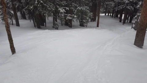 Ski in the Trees Stock Footage 123175177