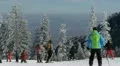 Ski Vacation Holiday Nature Skiers Practicing Snowed Slope Beautiful Blue Sky HD Footage