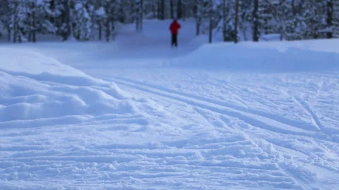 Ski Walk in the Winter Forest 動画素材 106460478