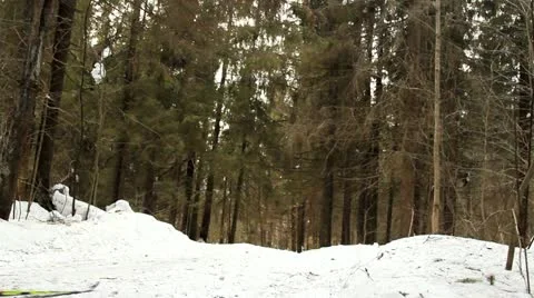 Ski walk in the wood Vidéo 22332692