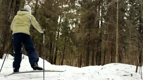 Ski walk in the wood Video stock 22333261