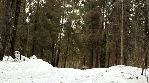 Ski walk in the wood 库存影片 22333432