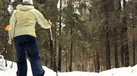 Ski walk in the wood 库存影片 22468072