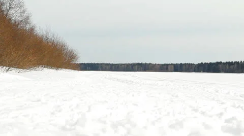 Ski walk in the wood 库存影片 22473815
