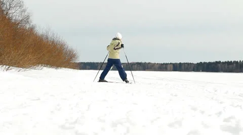 Ski walk in the wood 库存影片 22475122