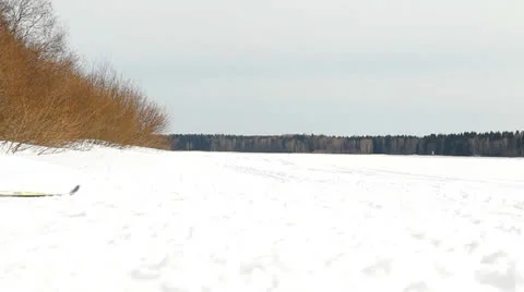 Ski walk in the wood Video stock 22475448