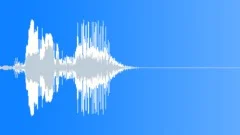 Skid 05 - Short, Emergency, Stop Sound Effect